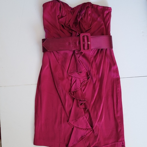 Hot🩷PinkExpress Silk strapless dress - Picture 1 of 11